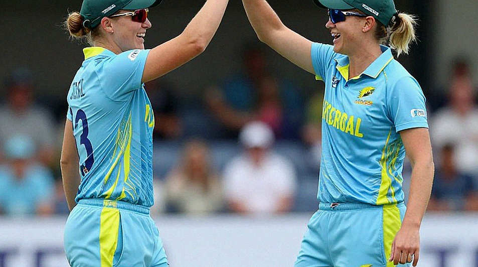 The Blank Sheet, Eight N/A Rows: The Cricket Report That Came Back Without Data